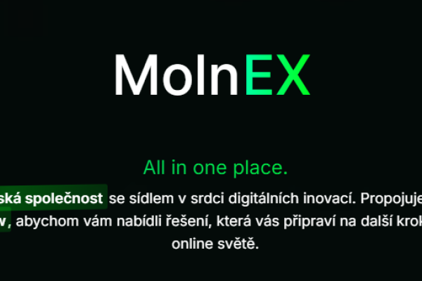  🔧 Profesionální tvorba webu na míru – MolnEX